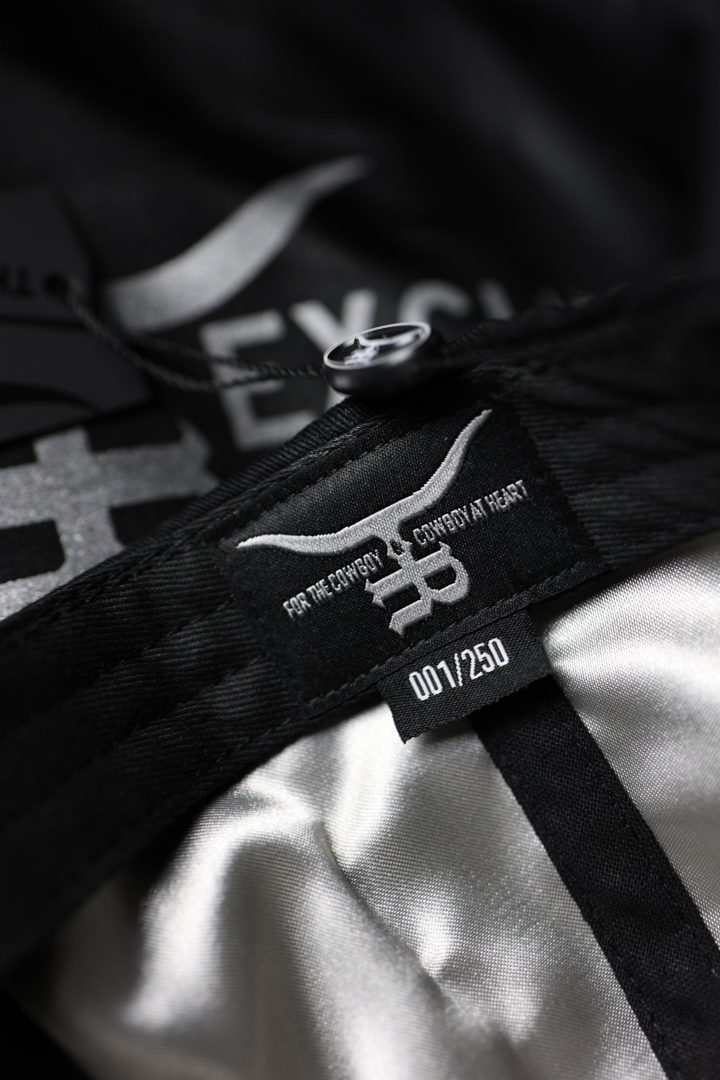 COWBOY DISTRICT  /250